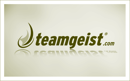 Corporate Design | Beispiel 1 von 8<br>Client: Teamgeist GmbH ™<br> Relaunch Firmenlogo | © 2007<br><br>